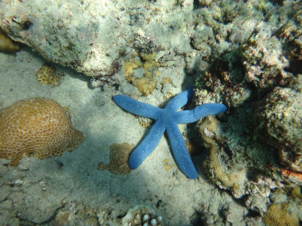 Wera Beach Kadumbul المظهر الخارجي الصورة