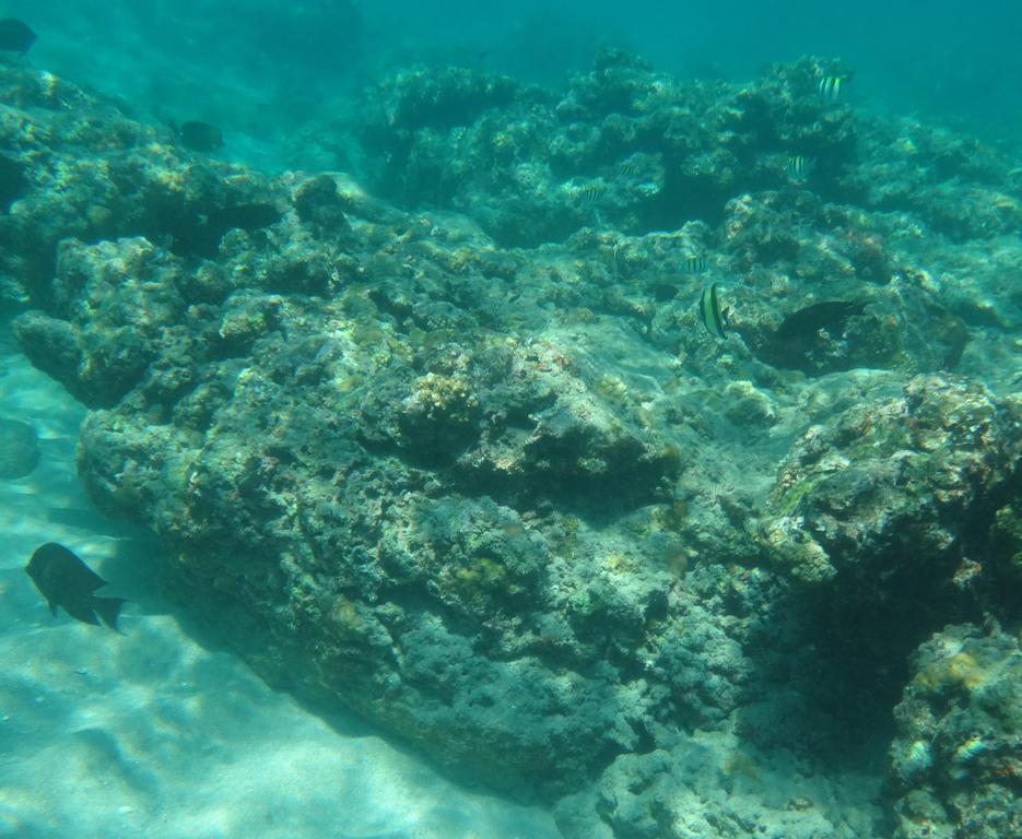 Wera Beach Kadumbul المظهر الخارجي الصورة