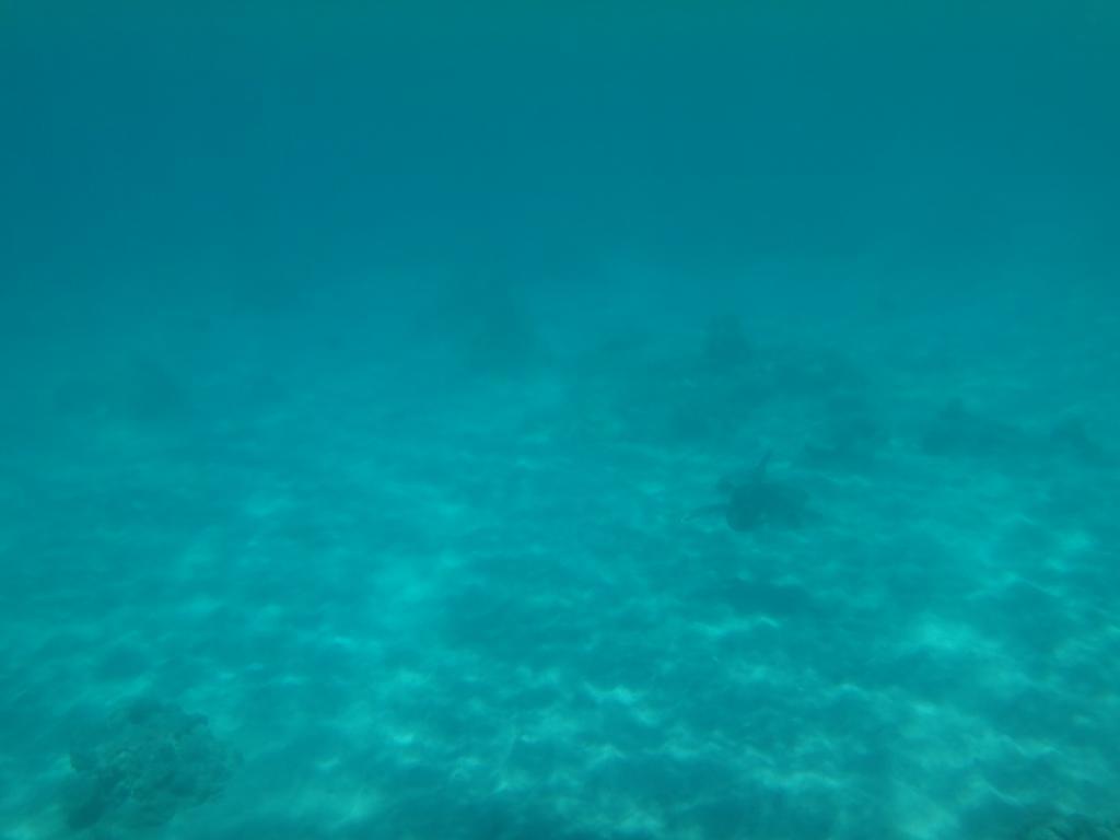 Wera Beach Kadumbul المظهر الخارجي الصورة