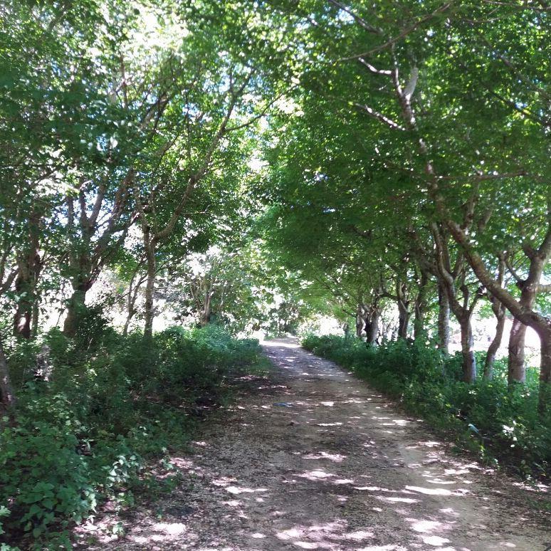 Wera Beach Kadumbul المظهر الخارجي الصورة