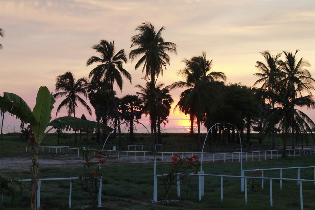Wera Beach Kadumbul المظهر الخارجي الصورة