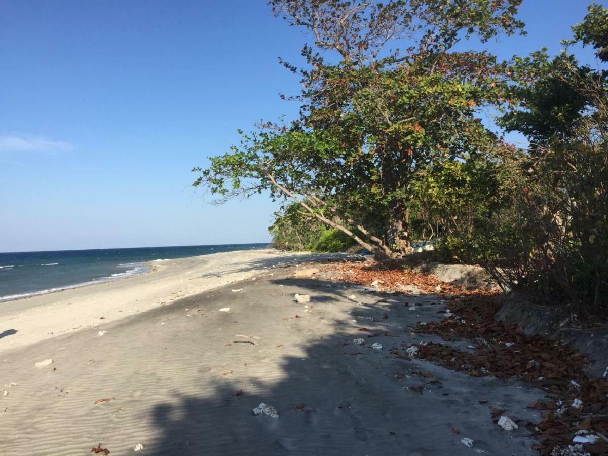 Wera Beach Kadumbul المظهر الخارجي الصورة