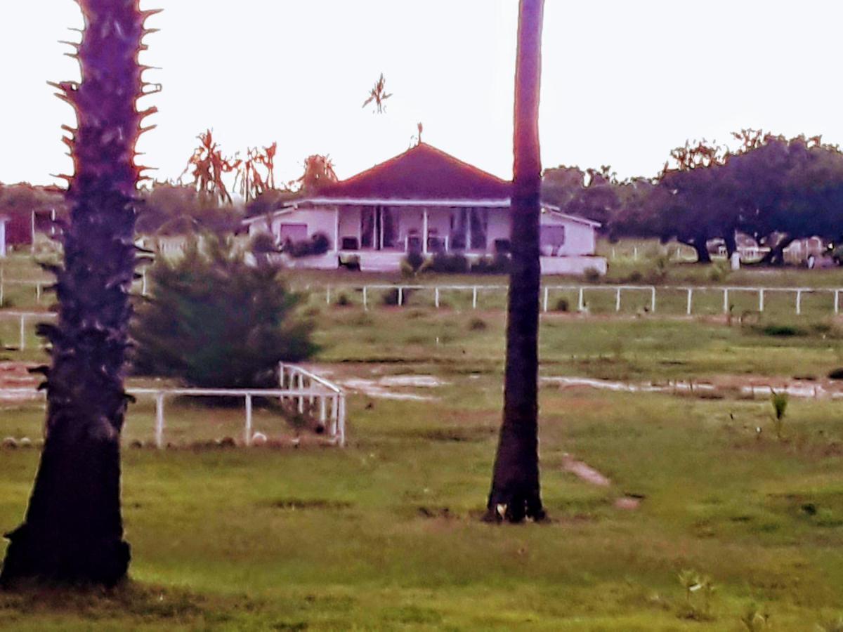 Wera Beach Kadumbul المظهر الخارجي الصورة