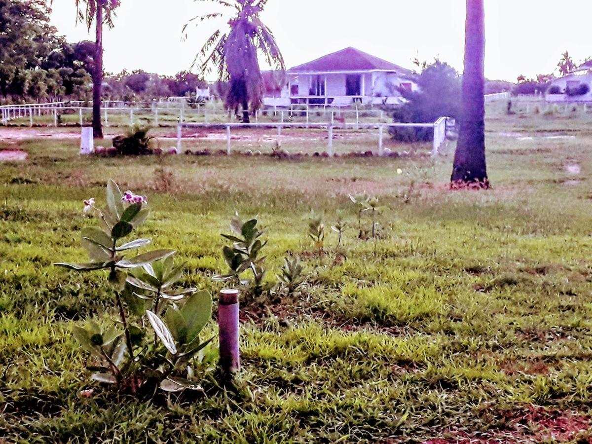 Wera Beach Kadumbul المظهر الخارجي الصورة